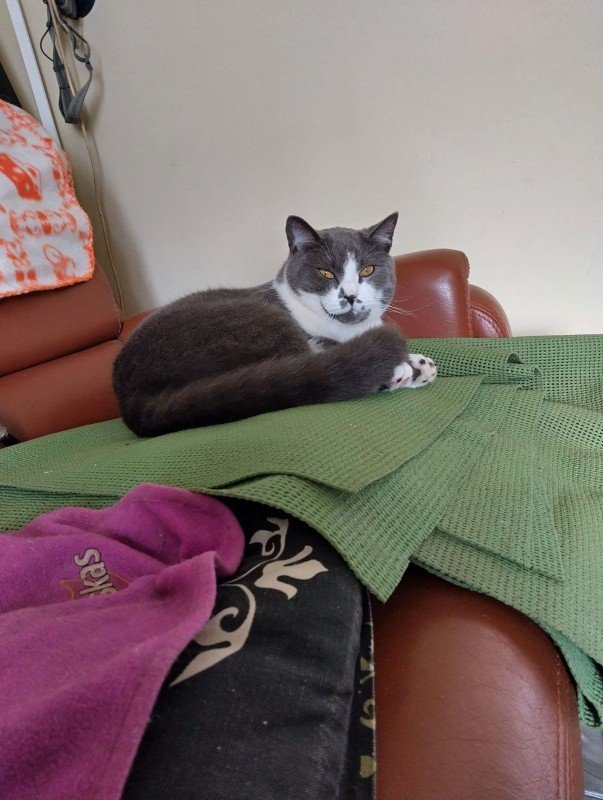 Tom