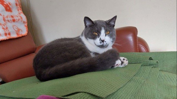 Tom