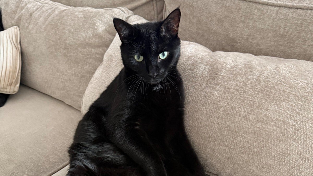 Blackie