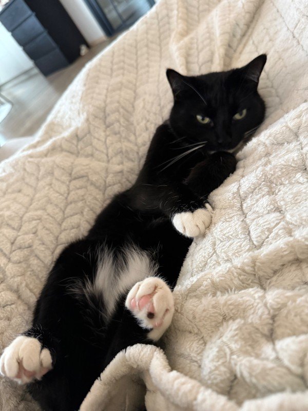 Stormie