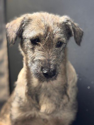Xena