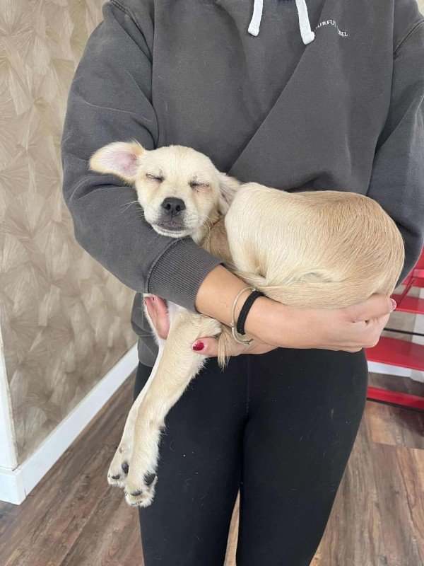 Luka