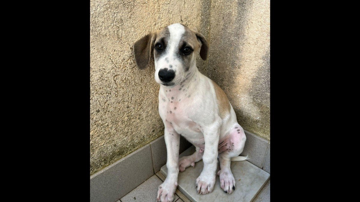 Casper