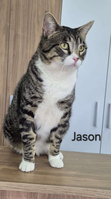 Jason