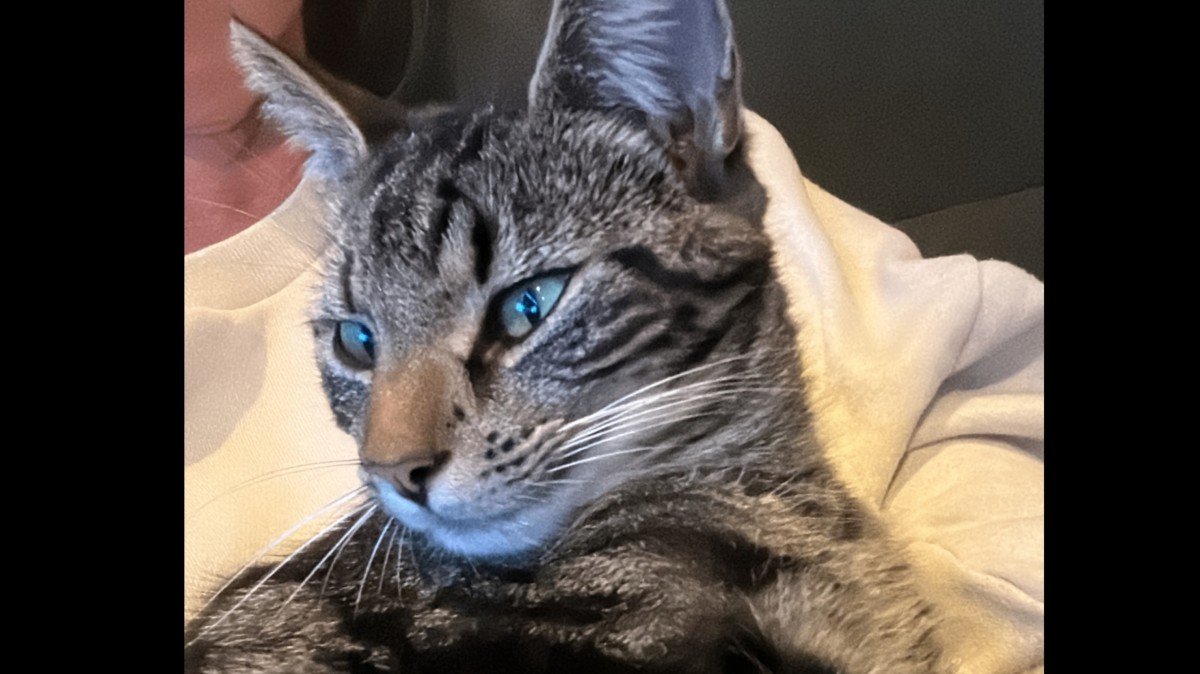 Coco