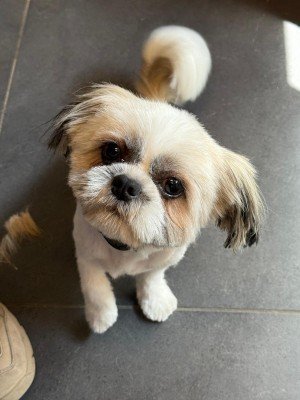 Max