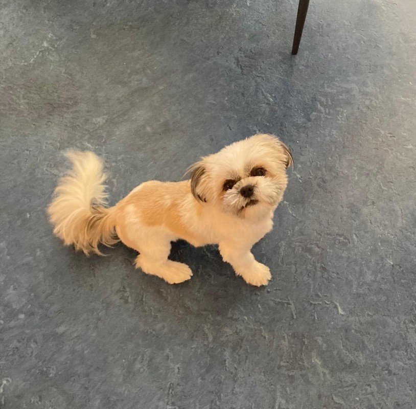 Max