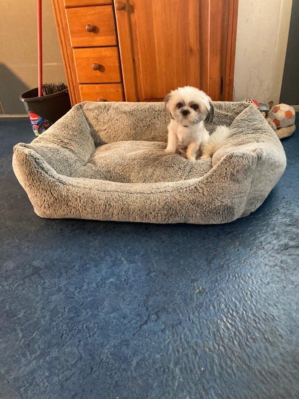 Max