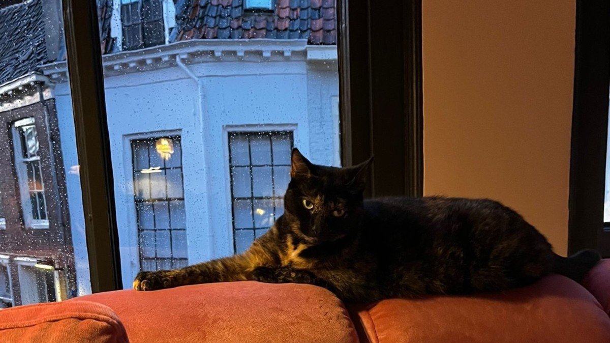 Sam