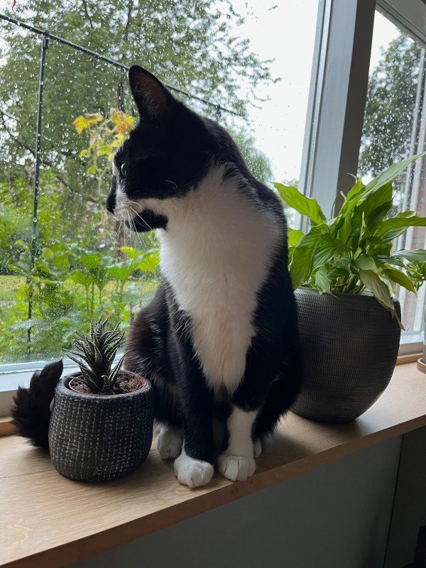 Teun