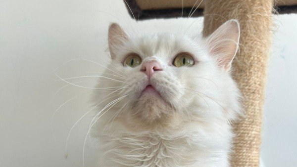 Ludwig van Beethoven