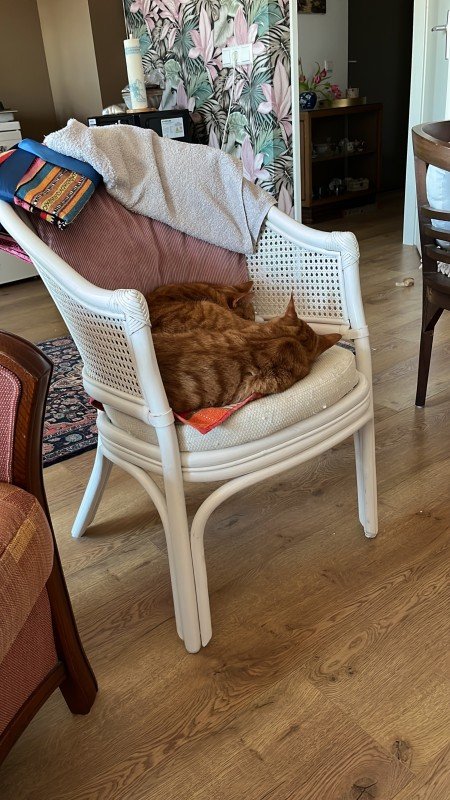 Quincy