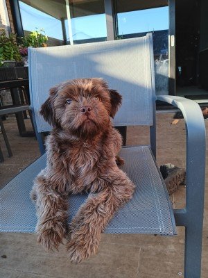 Zoë