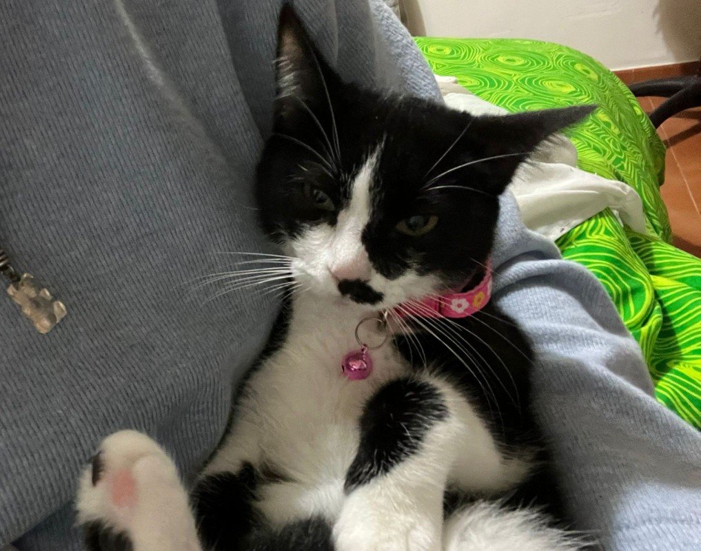 Luna