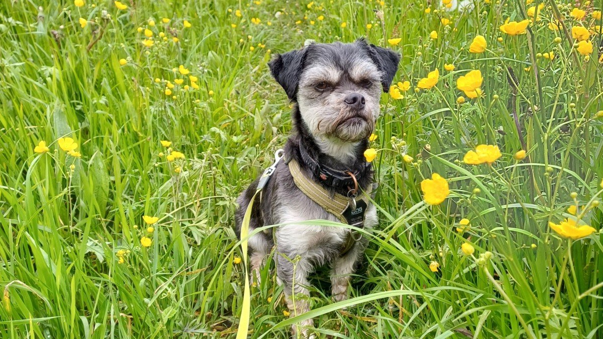 Max