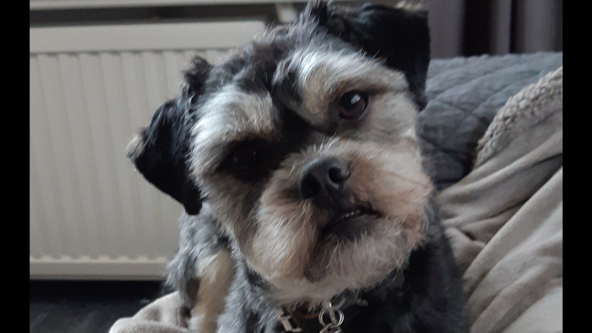 Max
