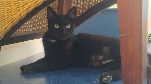 Luna