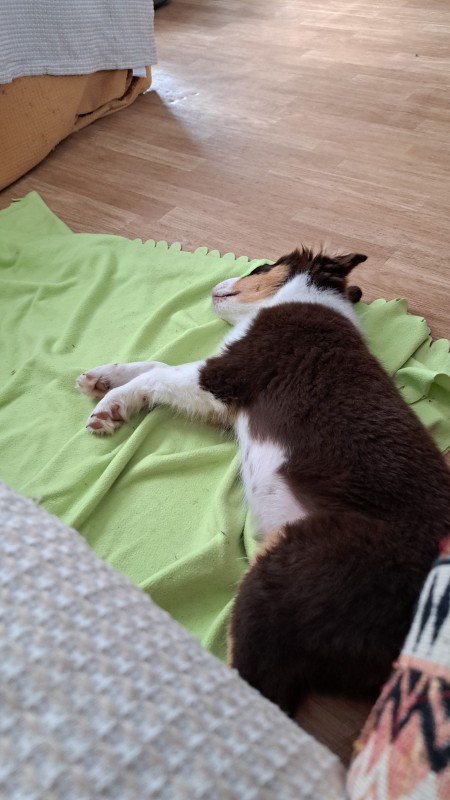 Max