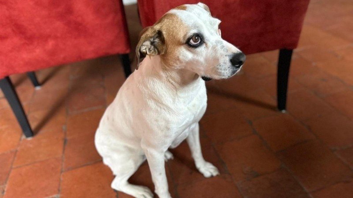 Edith