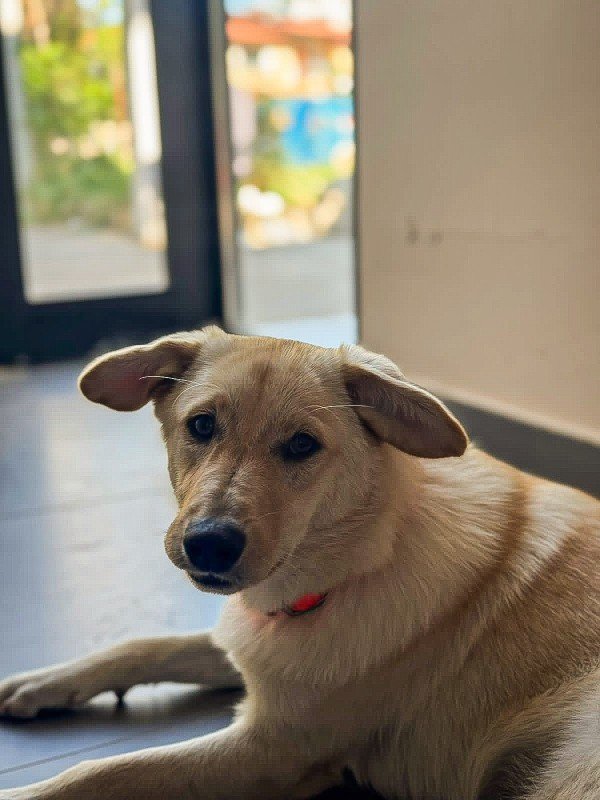 Mia