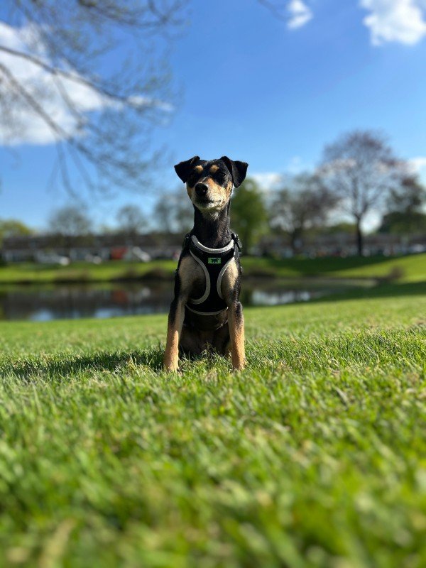 Nona