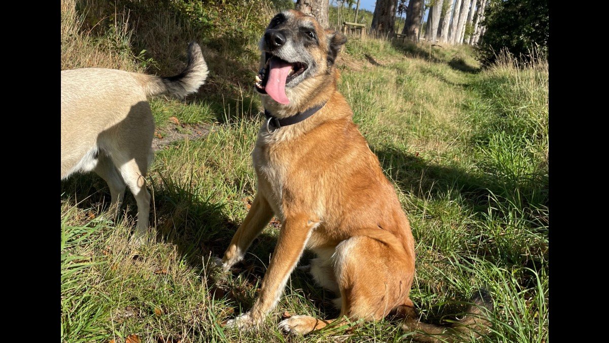 Toska