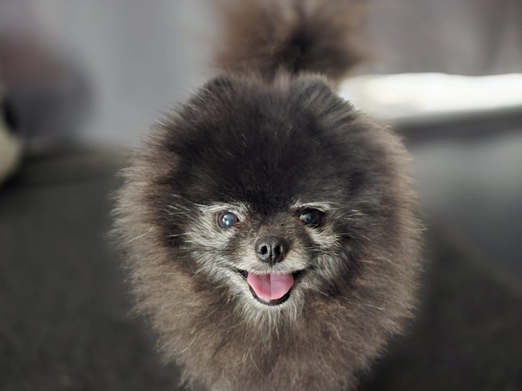 Kiko