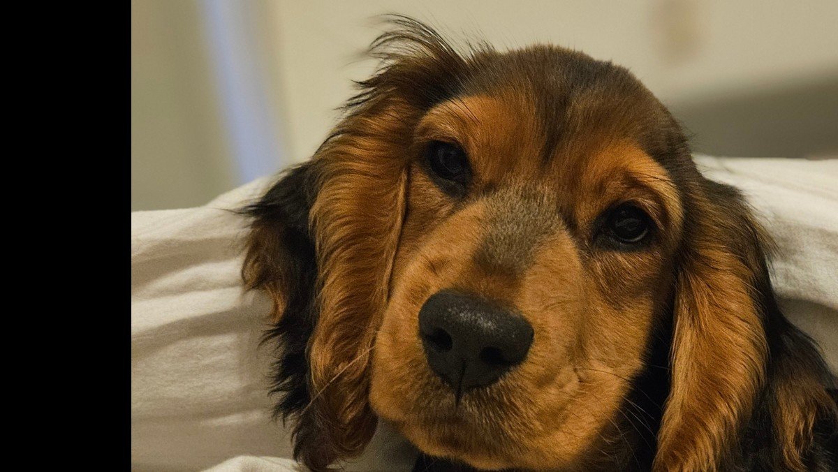 Charlie