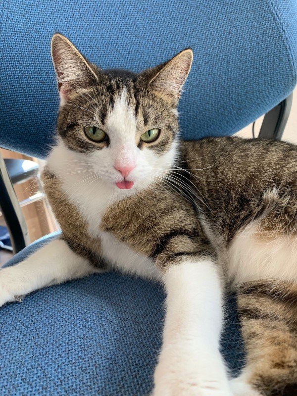 Nala