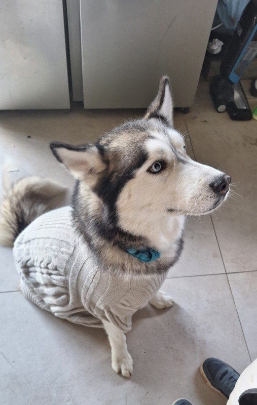 Thor