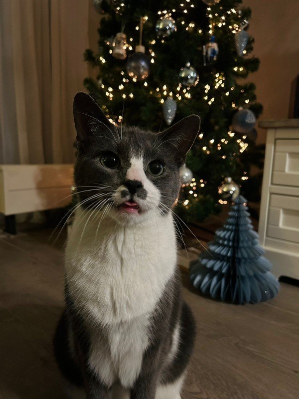 Beau