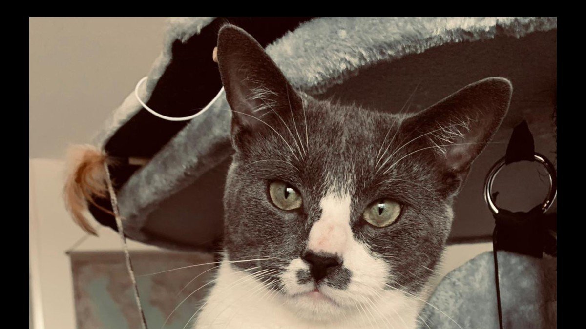 Beau