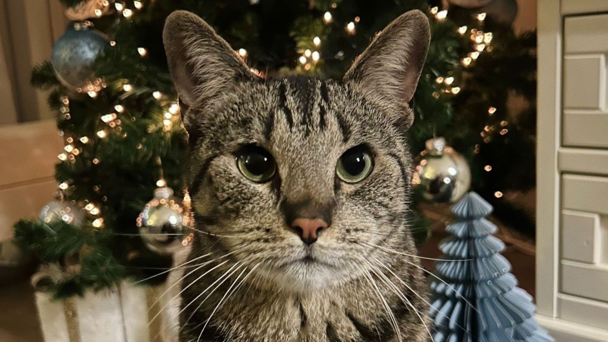 Beau