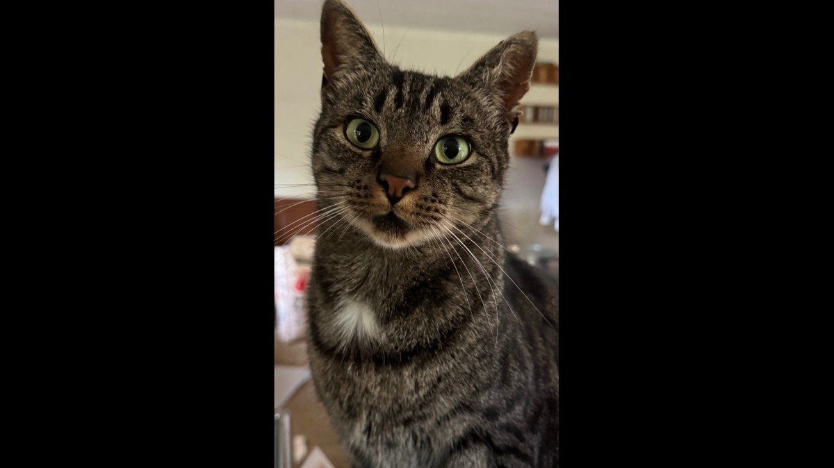 Clyde