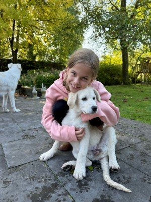 Maja