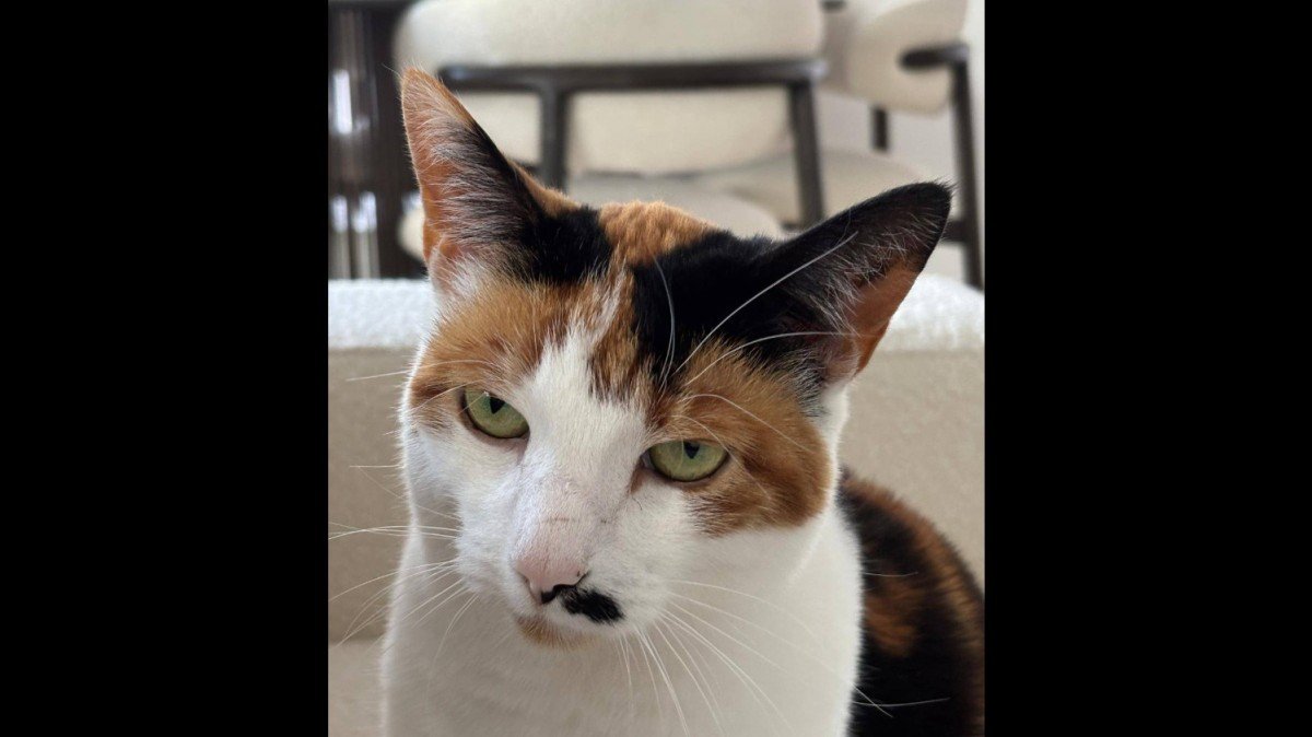 Lulu