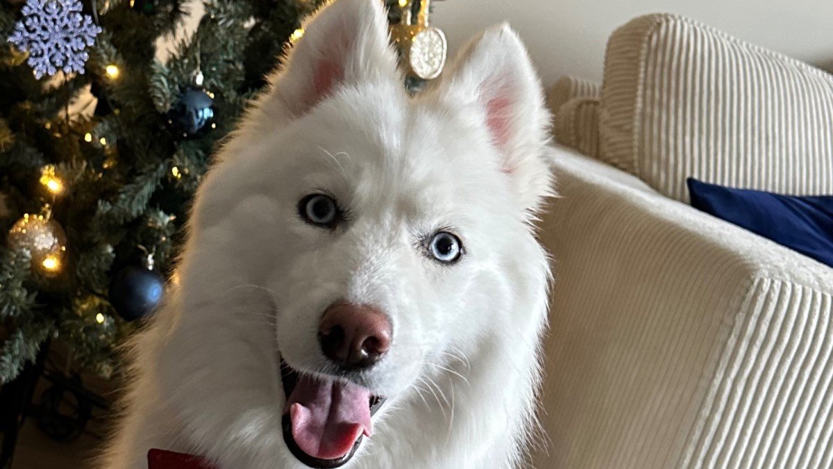 Skaya