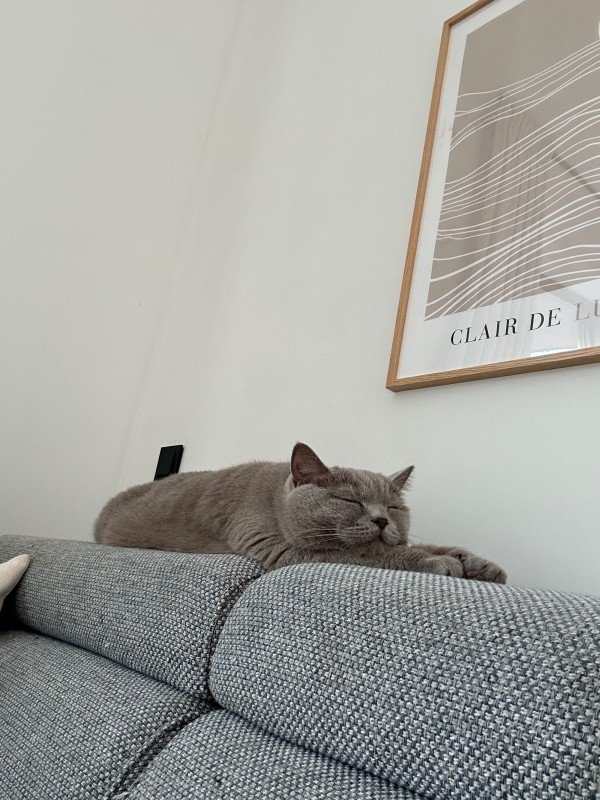 Miso