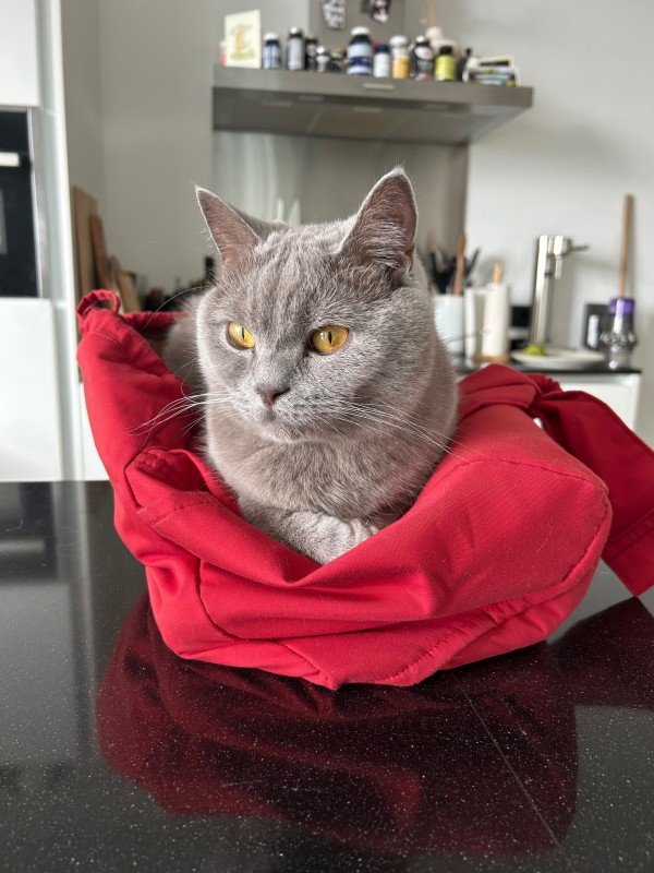 Miso