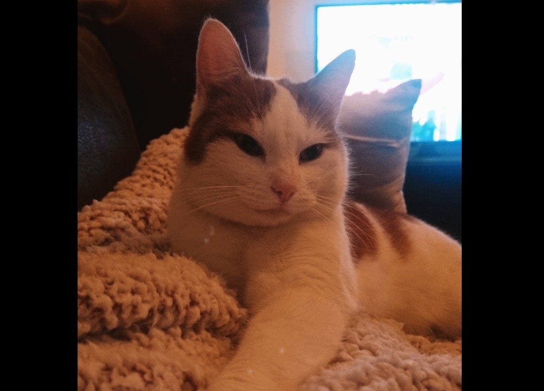 Sid