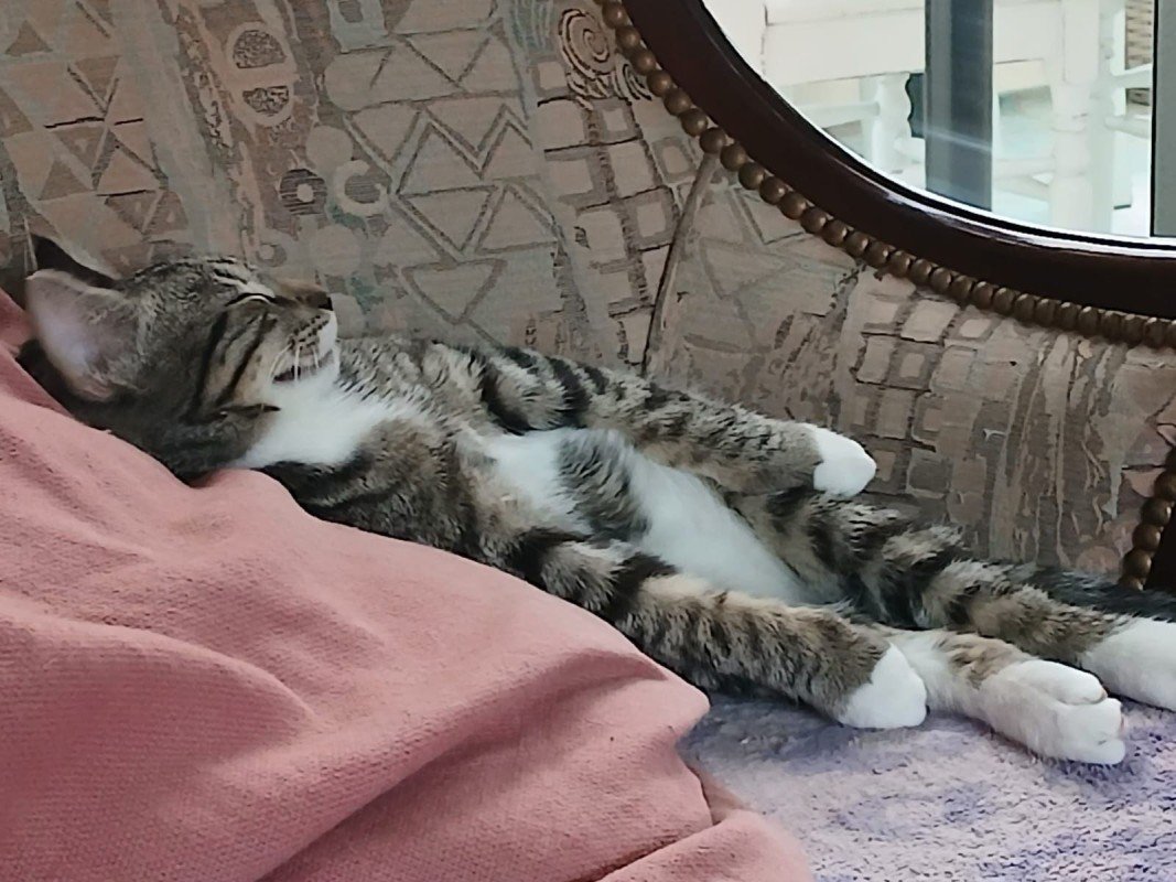 Apollo