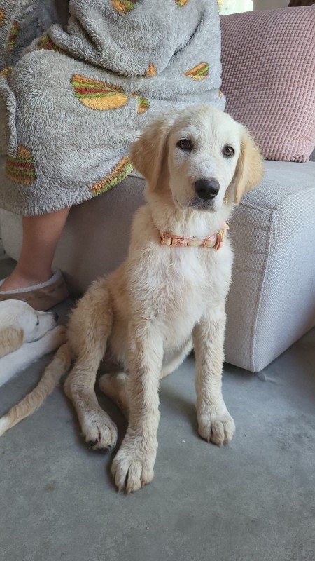 Mia