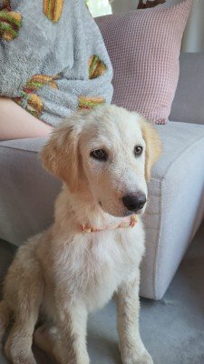 Mia