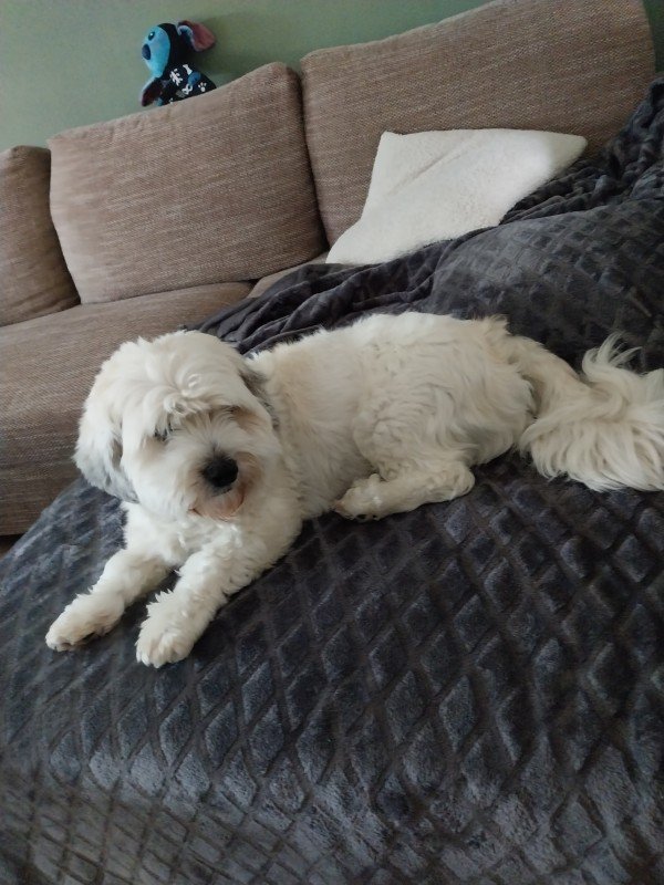 Bobbie