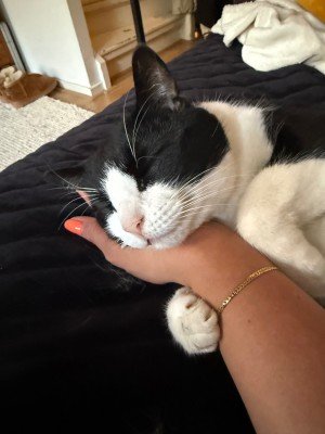 Pip