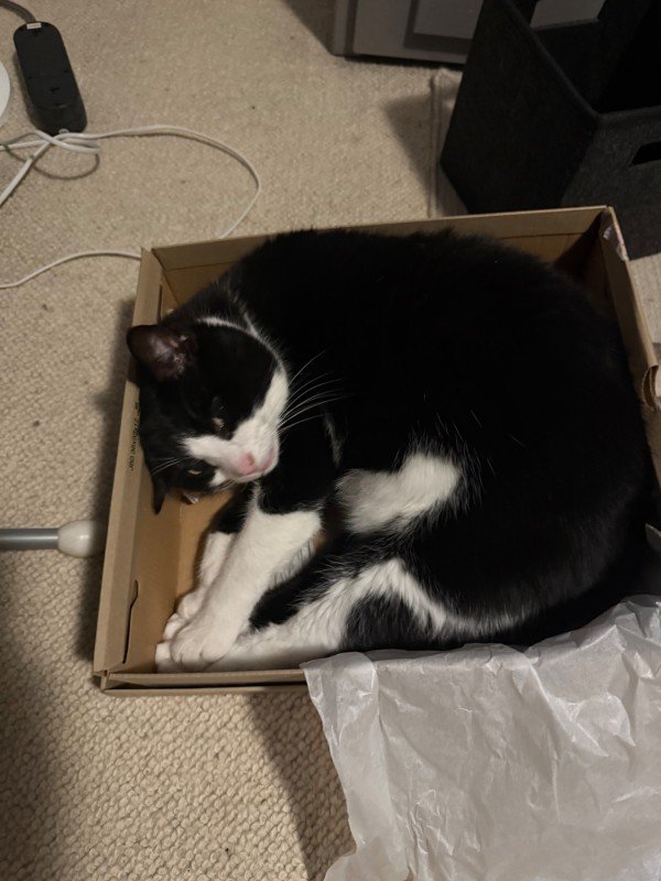 Pip