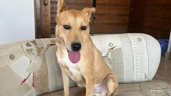 Max