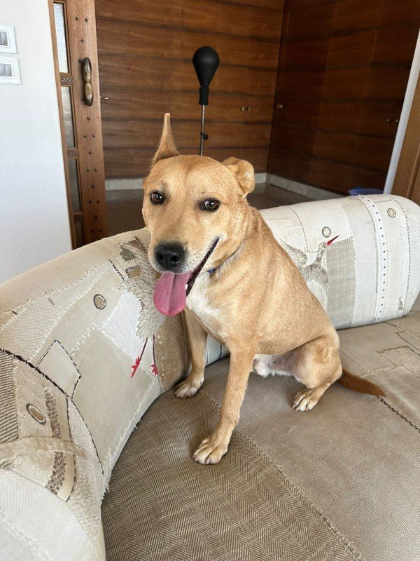 Max