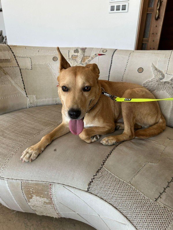 Max