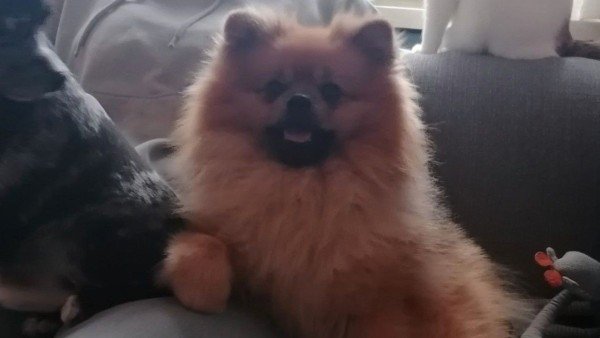 Bailey